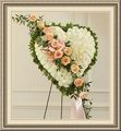 Anderson Florist of Arlington, 830 Massachusetts Ave, Arlington, MA 02476, (781)_643-3090